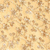Fabulous Fawn Sherwani